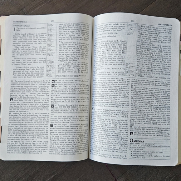 The NIV Study Bible Zondervan Red Letter Edition Bonded Leather with Tabs - Picture 9 of 10
